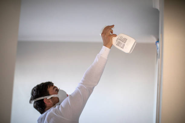 Professional Mold Remediation in Myrtle Point, OR