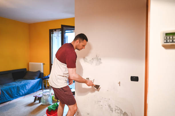 Best Black Mold Remediation in Myrtle Point, OR